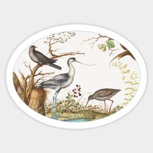 Avocet with Two Other Birds (1575–1580) Sticker